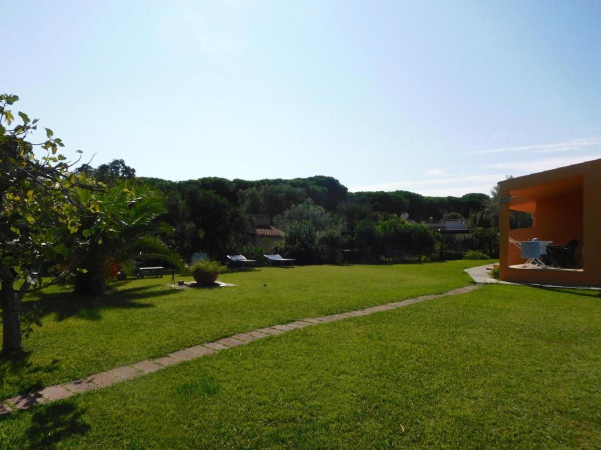 La Pineta