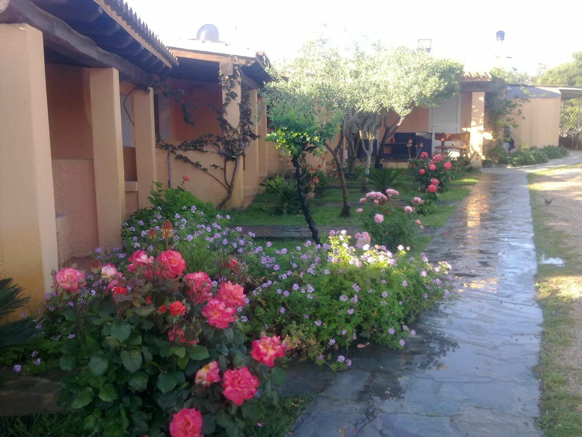 La Pineta