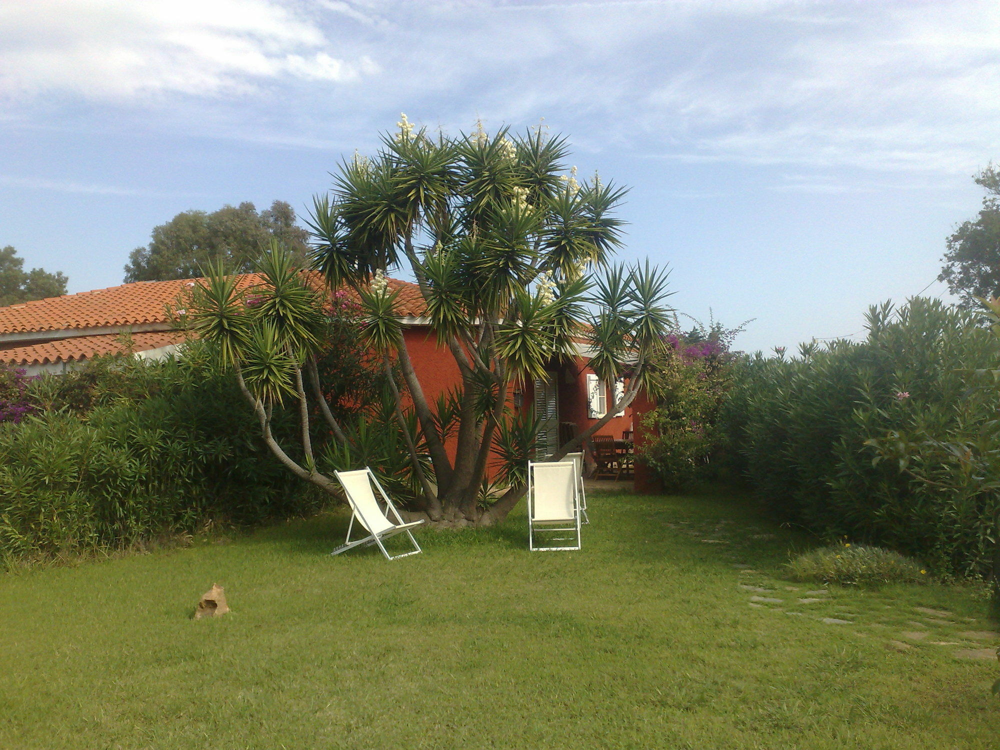 La Pineta Aparthotel